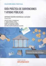 Guía práctica de subvenciones y ayudas públicas