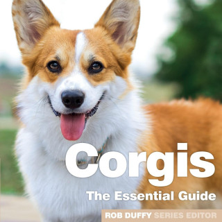 Corgis