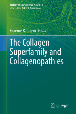 Collagen Superfamily and Collagenopathies