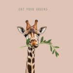 SERVILLETAS BAMBU 20U EAT YOUR GREENS BN143