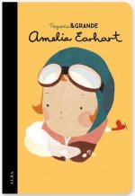 PEQUEÑA Y GRANDE AMELIA EARHART LIBRETA
