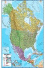 MAPA MURAL AMERICA DEL NORTE CENTRO FISICO POLITICO