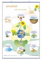 LAMINA FRUTOS/PLANTAS Y SUS UTILIDADES D/C (70X100)