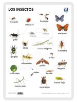 LAMINA A3 PRIMARIA LOS INSECTOS (42X29) NATURALEZA