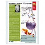 LAMINA A3 TABLA PERIODICA/CLASIF.ALFAB. D/C 42X29.7