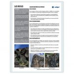 LAMINA A3 ESO LAS ROCAS (42X29) CIENCIAS Y ECOLOGIA