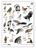LAMINA A3 PRIMARIA LAS AVES (42X29) NATURALEZA