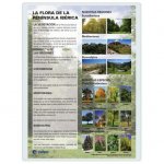 LAMINA A3 ESO FLORA IBERICA (42X29) CIENCIAS Y ECOLOGIA