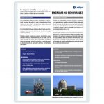 LAMINA A3 ESO ENERGIAS NO RENOVABLES (42X29) CIENCIAS Y ECO