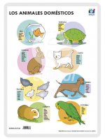 LAMINA A3 INFANTIL ANIMALES DOMESTICOS (42X29) ME GUSTA SAB