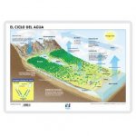 LAMINA A3 ESO EL CICLO DEL AGUA (42X29) CIENCIAS Y ECOLOGIA