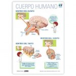 LAMINA A3 PRIMARIA SENTIDOS OLFATO TACTO (42X29)