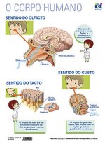 LAMINA A3 PRIMARIA OS SENTIDOS GUSTO/OLFATO/TACTO (42X29)