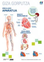 LAMINA A3 PRIMARIA ZIRKULAZIO APARATUA (42X29) ANATOMIA