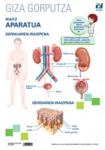 LAMINA A3 PRIMARIA IRAITZ APARATUA (42X29) ANATOMIA