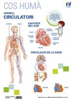 LAMINA A3 PRIMARIA APARELL CIRCULATORI (42X29)