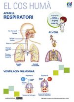LAMINA A3 PRIMARIA APARELL RESPIRATORI (42X29)