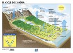 LAMINA A3 ESO CICLE AIGUA CATALAN (42X29) CIENCIAS Y ECOLOG