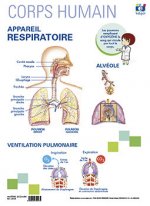 LAMINA A3 EP APPAREIL RESPIRATOIRE FRANCES (42X29)