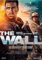 THE WALL DVD