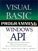 VB PROGRAMMING WITH WINDO