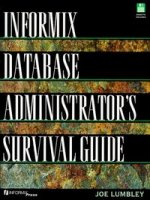 INFORMIX DATABASE ADMINIS