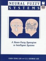 NEURAL FUZZY SYSTEMS-INCLUYE DISCO