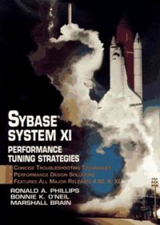 SYBASE SYSTEM IX PERFORMANCE