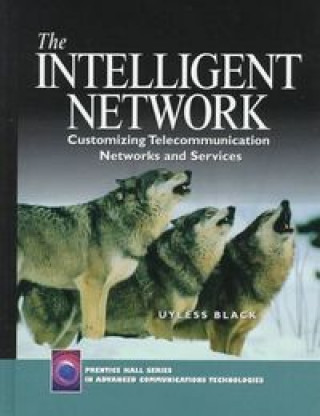 INTELIGENT NETWORK