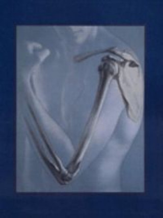 HUMAN ANATOMY