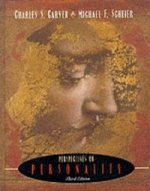PERSPECTIVE PERSONALITY