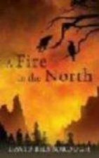 FIRE IN NORTH A TRADE