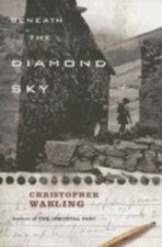 BENEATH DIAMOND SKY