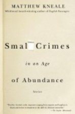 SMALL CRIMES AGE TD