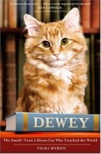 DEWEY TRADE