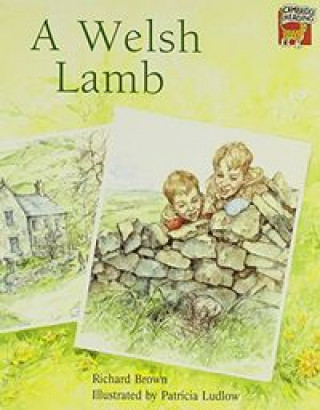 WELSH LAMB, A