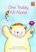 ONE TEDDY ALL ALONE BIG BOOK