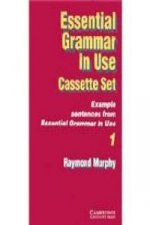 ESSENTIAL GRAMMAR IN USE CASS (2)