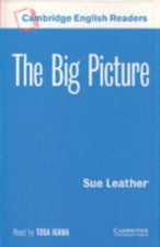 THE BIG PICTURE CASETTES