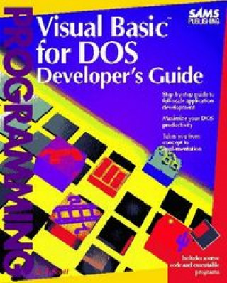 VISUAL BASIC DOS DEVELOPER'S-DKS