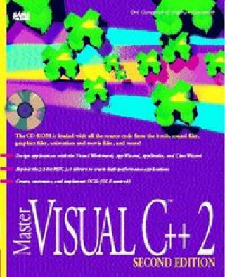 MASTER VISUAL C++2 2ªEDICION