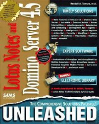LOTUS NOTES DOMINO SERVER