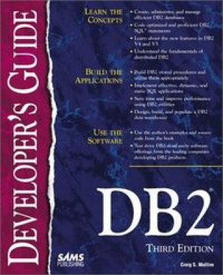 DB 2 DEVELOPERS GUIDE 3 ED