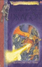 EN BUSCA DEL DRAGON
