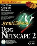 USING NETSCAPE 2 SPEC. EDI