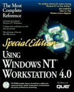 USING WINDOWS NT WORKSTATION 4.0