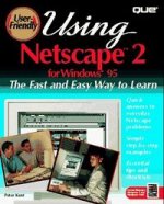 USING NETSCAPE 2 WINDOWS
