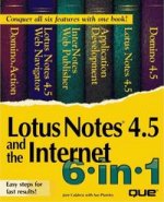 LOTUS NOTES 4.5 INTERNET