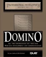 DOMINO PROFESSIONAL DEV.GUIDE