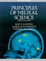 PRINCIPLES NEURAL SCIENCE 3 ED